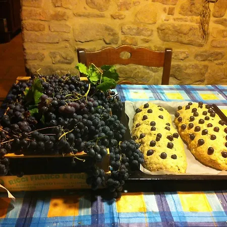 Bed & Breakfast Il Belvederino