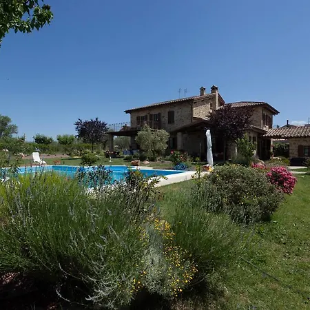 Bed & Breakfast Il Belvederino Brufa